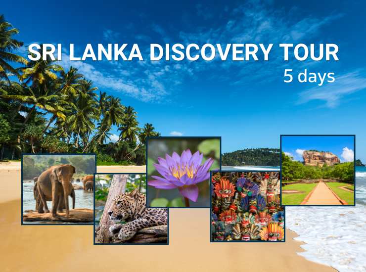 Sri Lanka Discovery Tour – 5 Days of Culture, Nature & Beaches